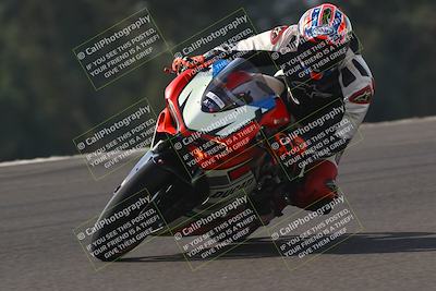 media/Nov-02-2025-Lets Ride (Sun) [[f7a3caa734]]/A Group/11am (Turn 2 Inside)/